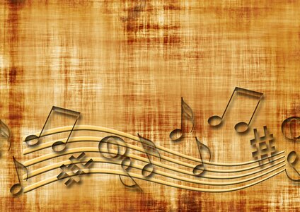 Sound concert musician