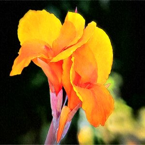 Flower plant digital art
