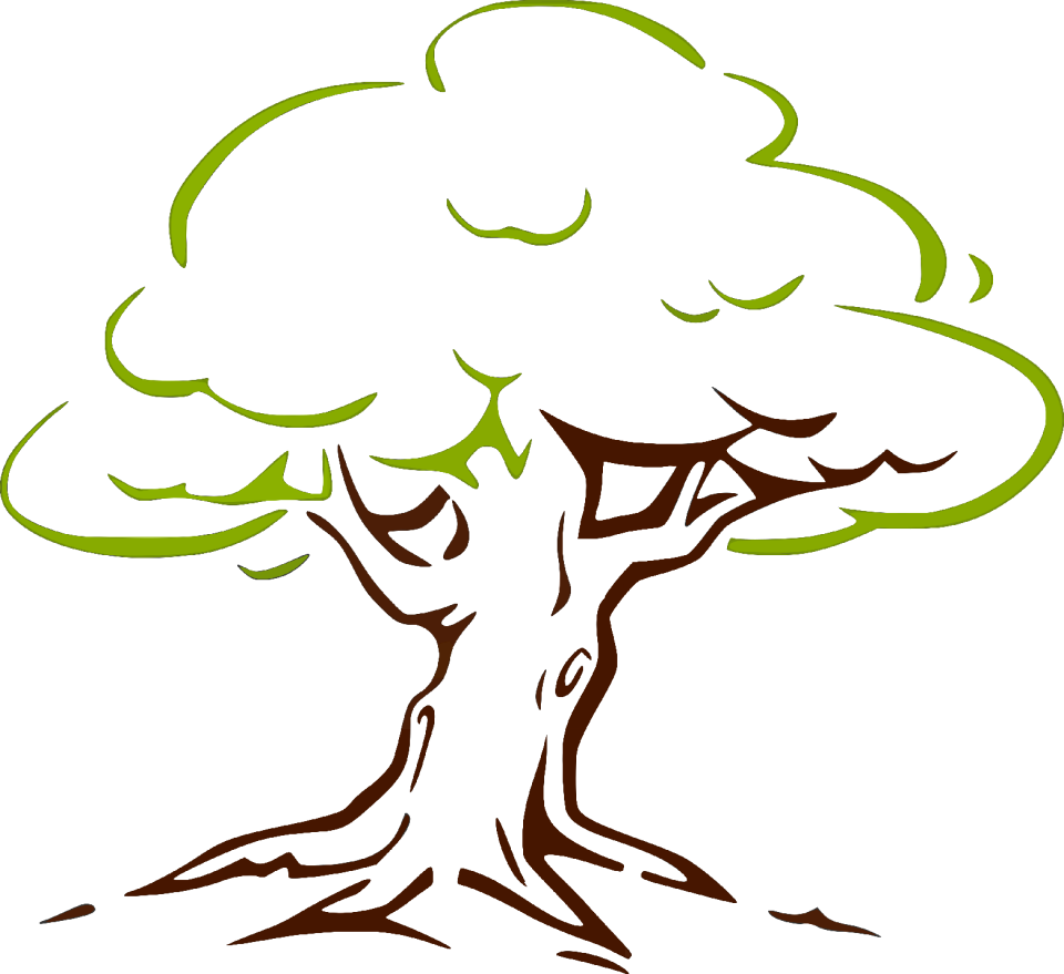 Contour color Free illustrations
