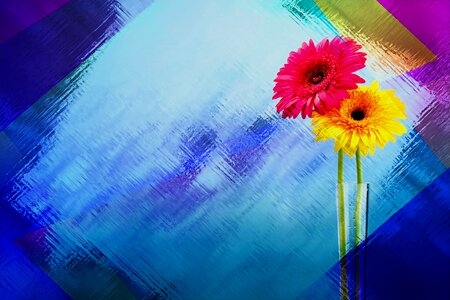 Flowers vase arrangement