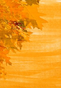 Autumn colours stationery map