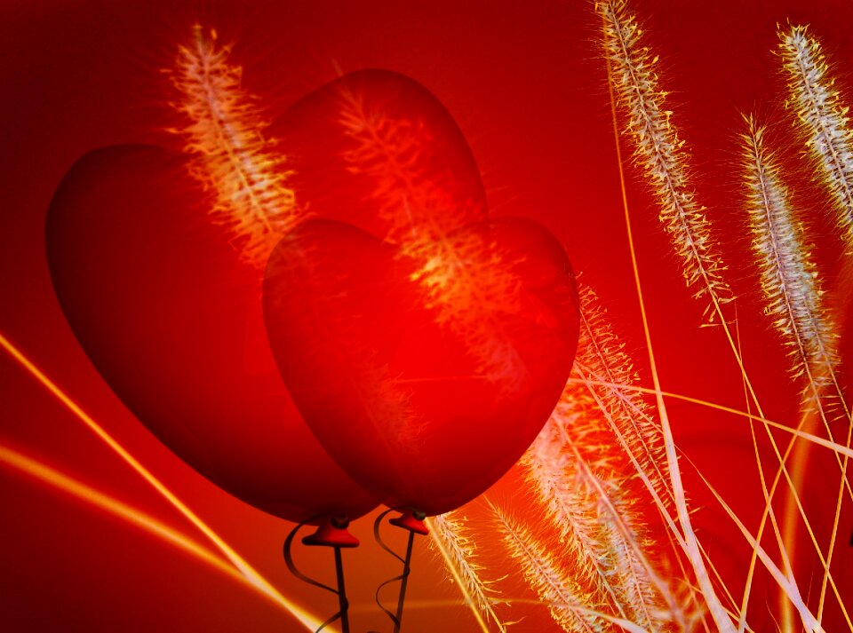 Grasses halme love
