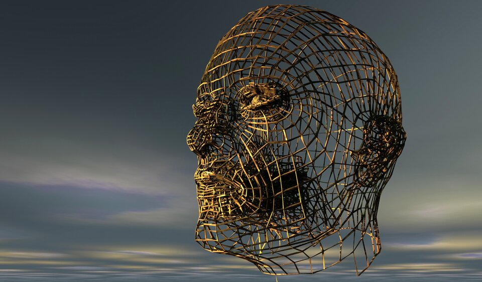 Portrait side view wire mesh