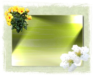 Spring birthday frame