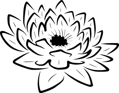 Outlines black and white black