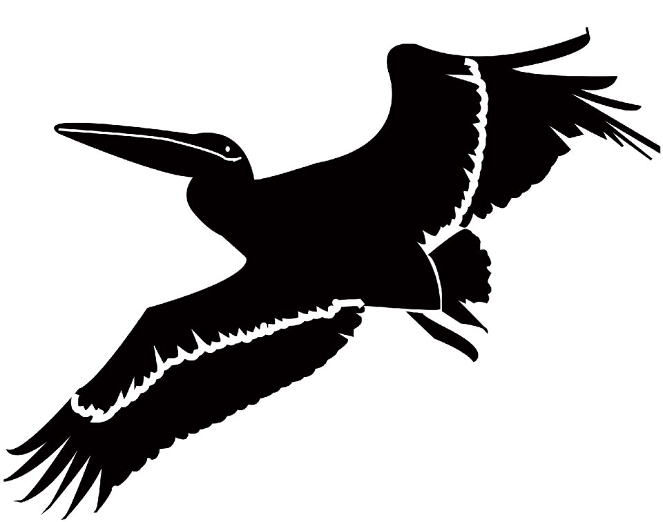 Wild flying Free illustrations