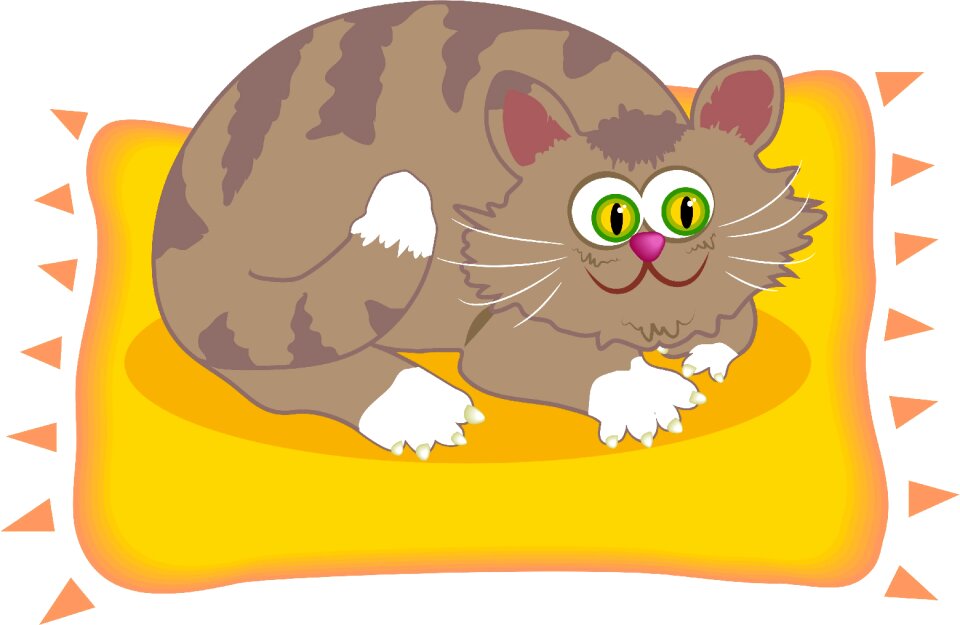 Cats pet pets