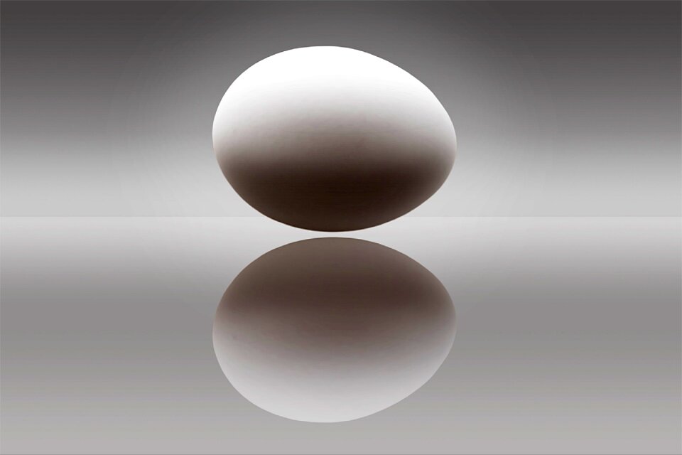 Ovoid nutrition ingredient