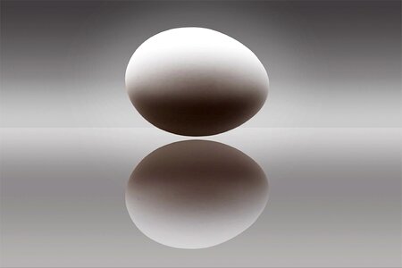 Ovoid nutrition ingredient