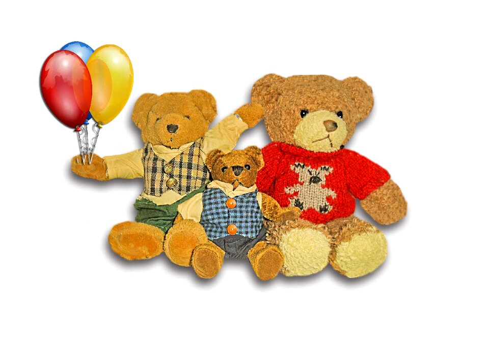 Mammal teddy animal