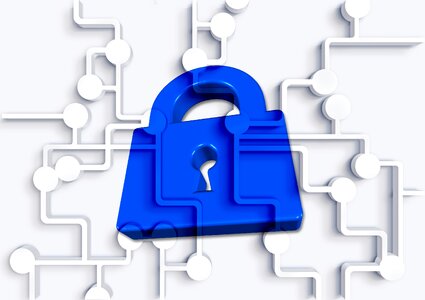 Security circuits virus protection