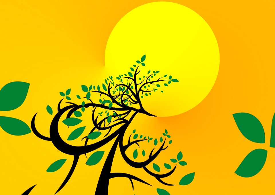 Branches yellow sun
