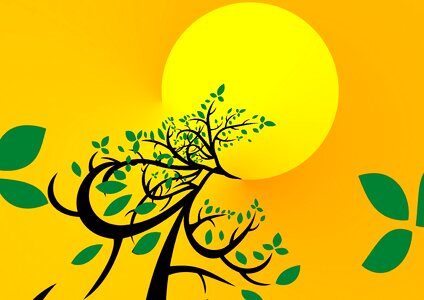 Branches yellow sun