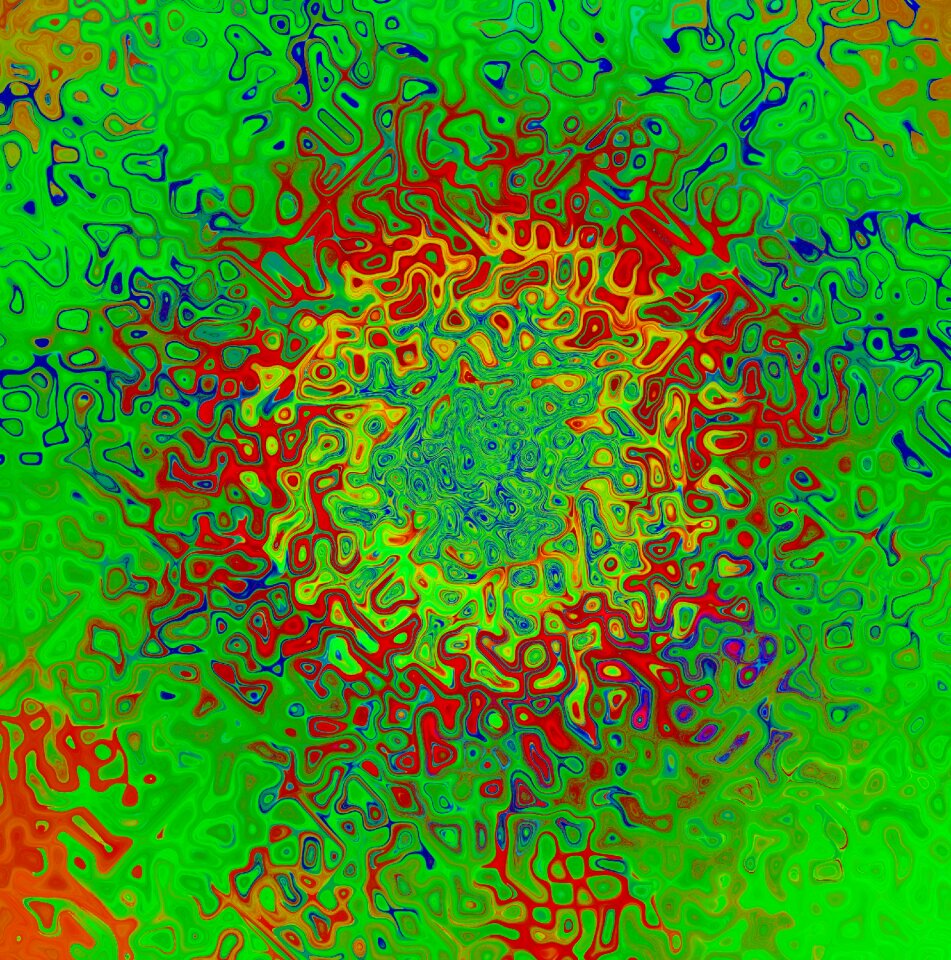 Colorful blossom bloom
