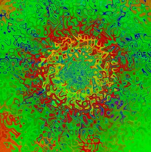 Colorful blossom bloom