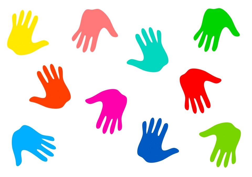 Kids colours anatomy