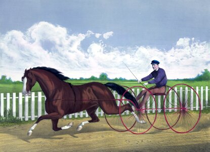 Racer cart driver
