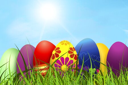 Egg painted colorful