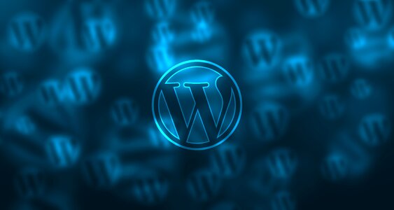 Website cms logo