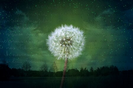 Greeting card wallpaper fantasy
