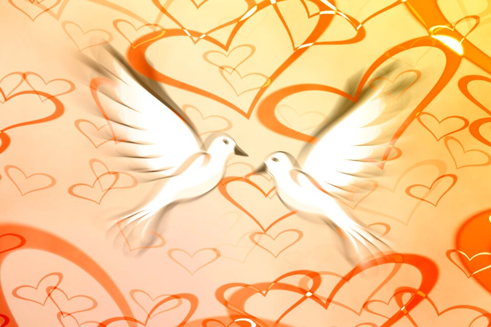 Heart silhouette love