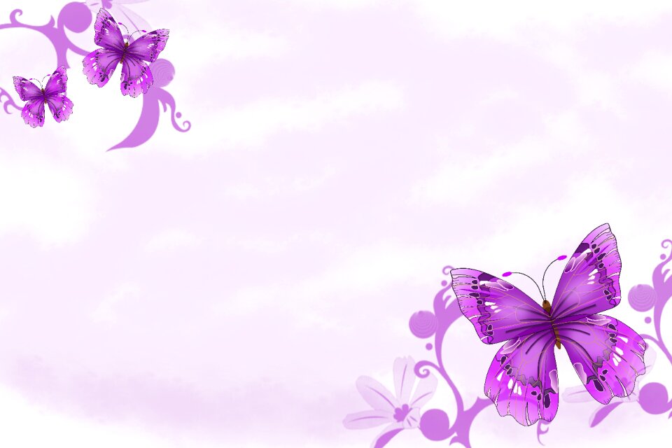 Purple butterflies Free illustrations