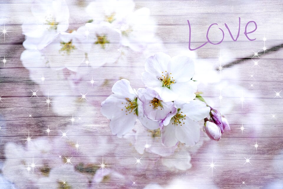 Greeting card romantic valentine's day