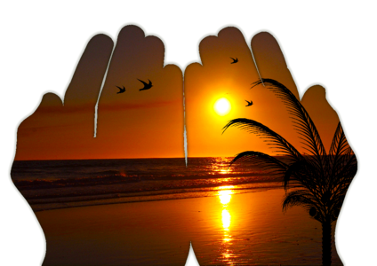 Evening sun hands desire