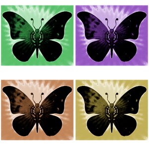 Abstract decorative artistic