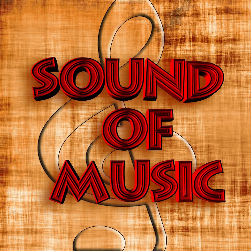 Sound concert musician