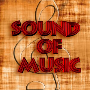 Sound concert musician