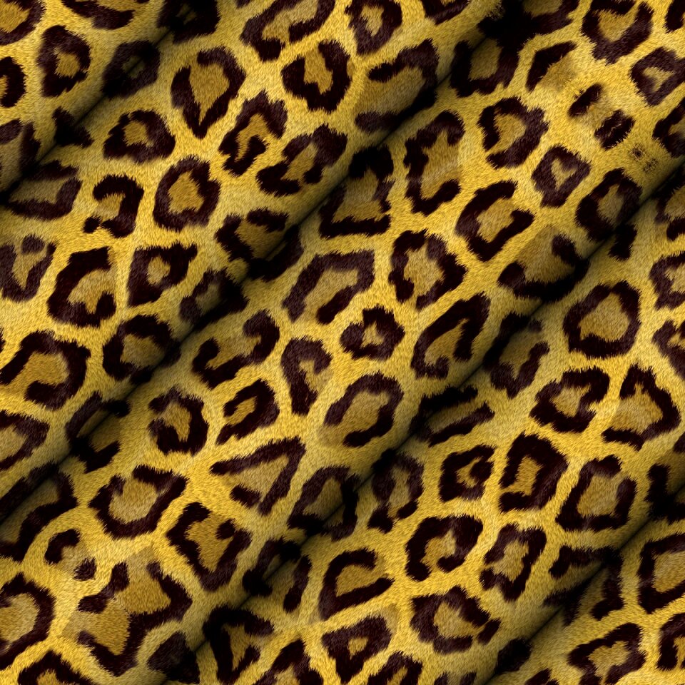 Wallpaper animal square