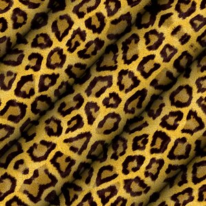 Wallpaper animal square