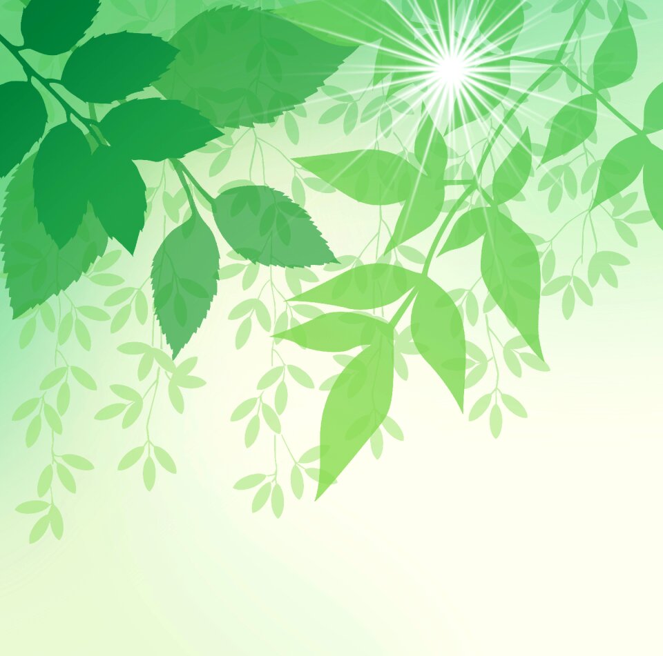Light branches plant