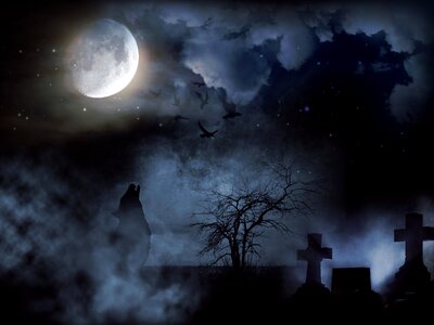 Wolf night cross