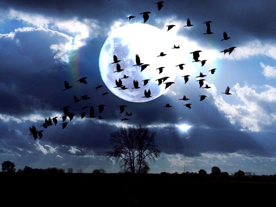 Moon tree blue