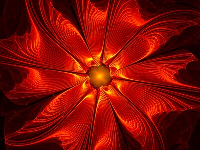 Flower fantasy decorative