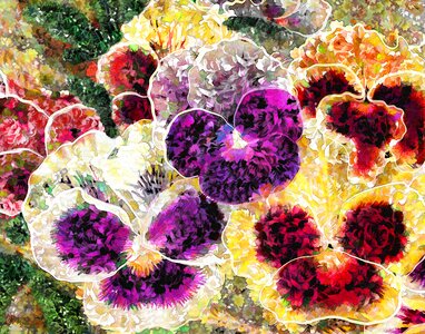Abstract decoration decorative