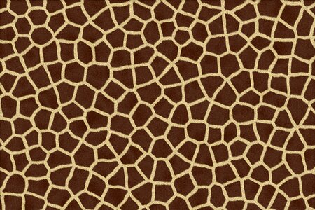 Skin fur pattern