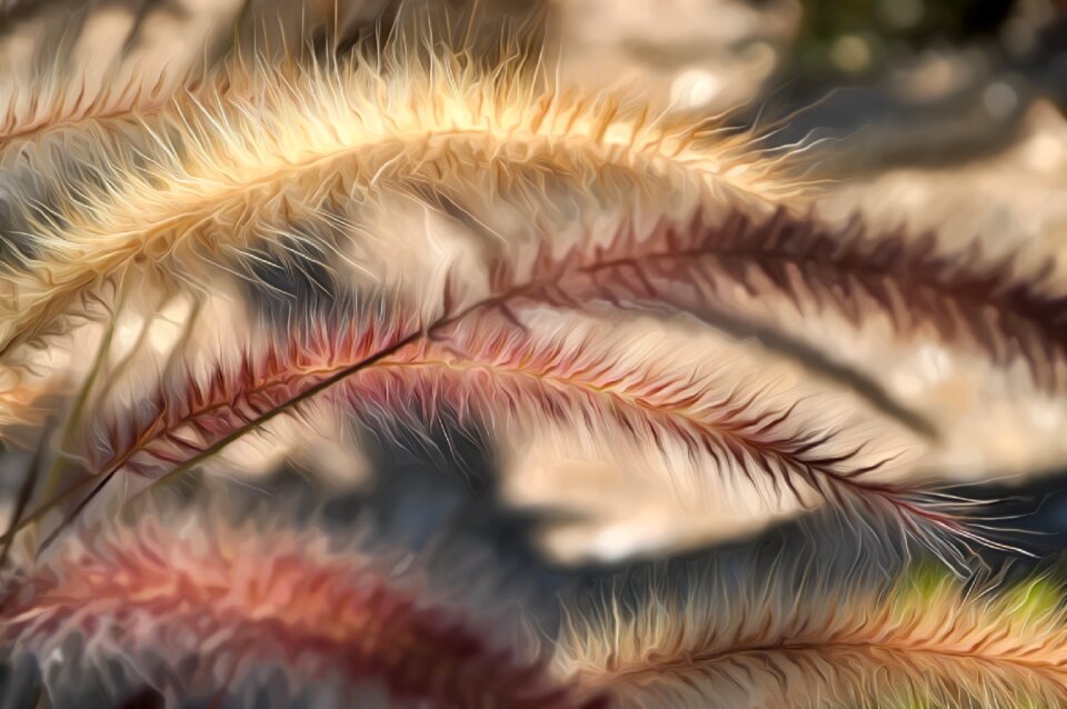 Texture background abstract