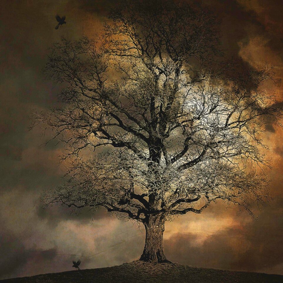 Mystery dark night