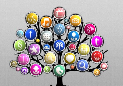 Networks gears internet