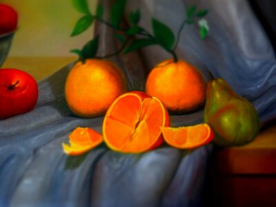 Still life art Free illustrations