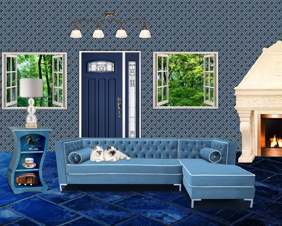 Home house blue