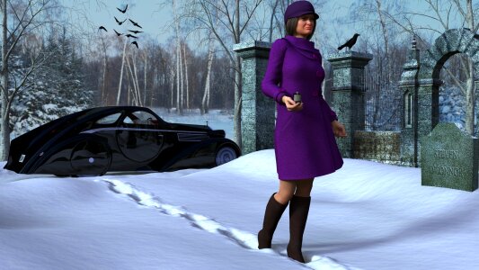 Winter widow Free illustrations
