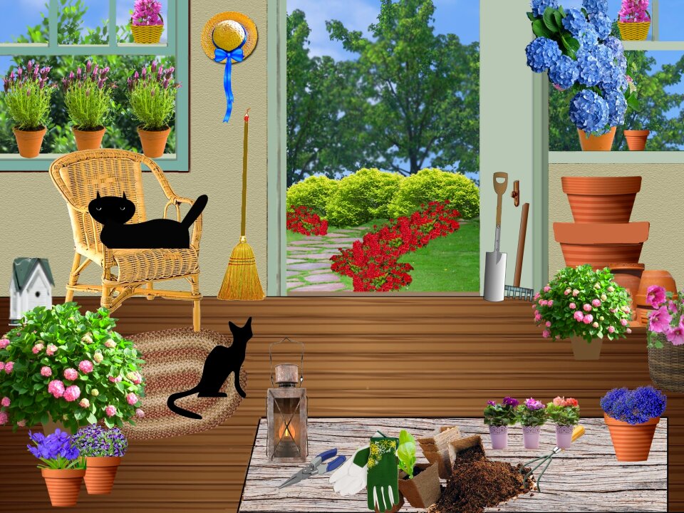 Pots flower pots flowers in pots