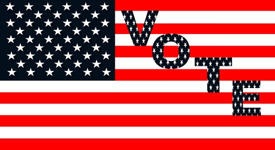 Voting votes political
