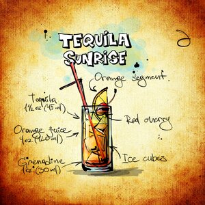 Alcohol recipe party