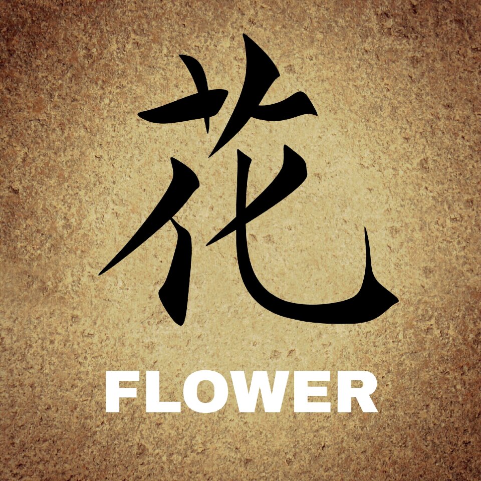 Background flower Free illustrations