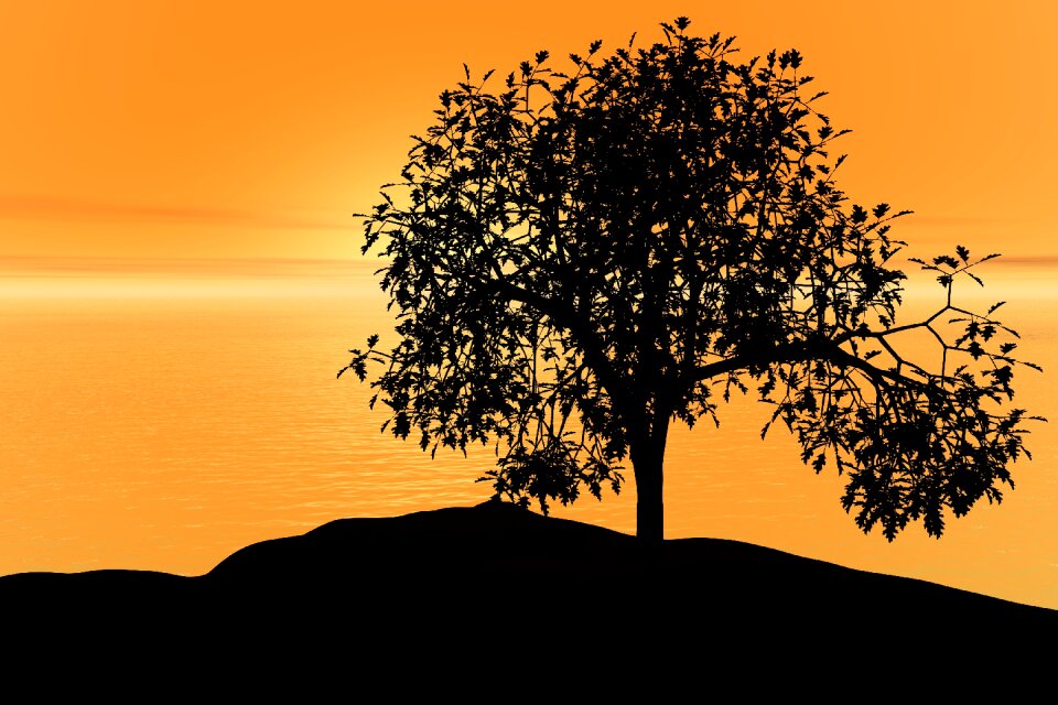 Peace nature landscape